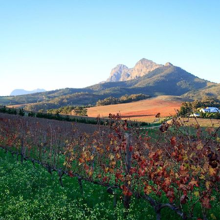 스텔렌보스 Marianne Wine Estate B&B 외부 사진