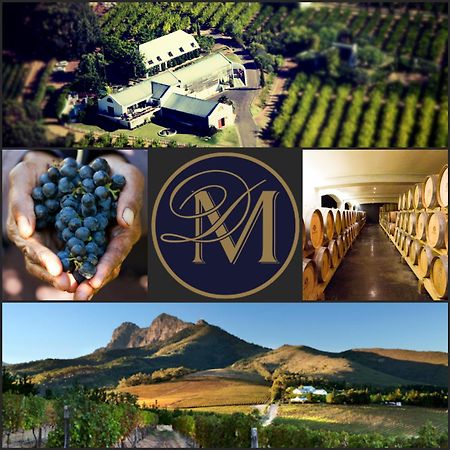 스텔렌보스 Marianne Wine Estate B&B 외부 사진