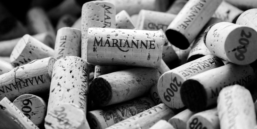 스텔렌보스 Marianne Wine Estate B&B 외부 사진