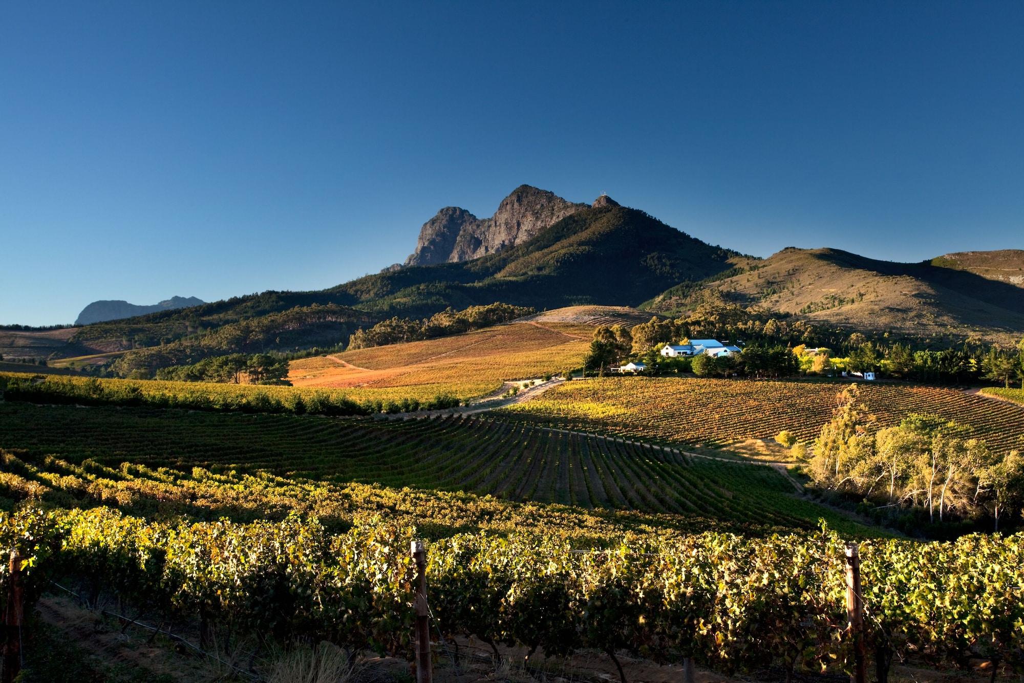 스텔렌보스 Marianne Wine Estate B&B 외부 사진