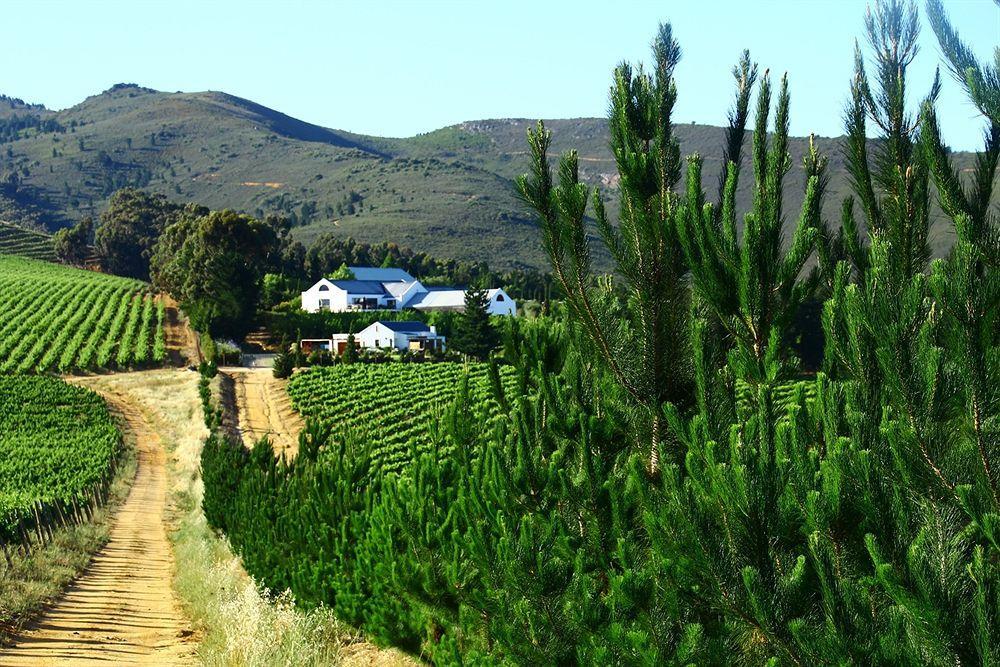 스텔렌보스 Marianne Wine Estate B&B 외부 사진