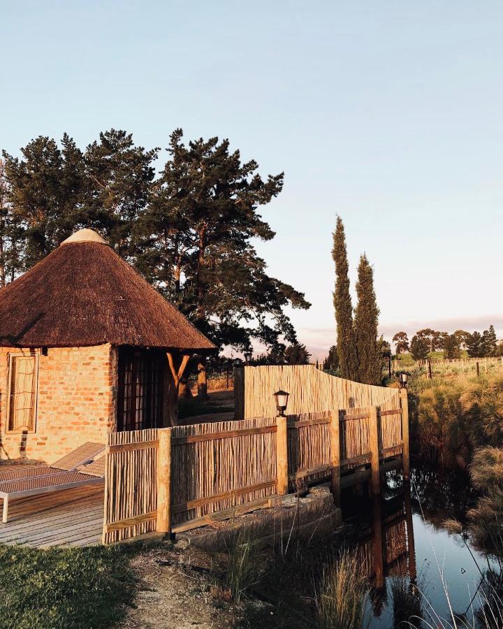 스텔렌보스 Marianne Wine Estate B&B 외부 사진